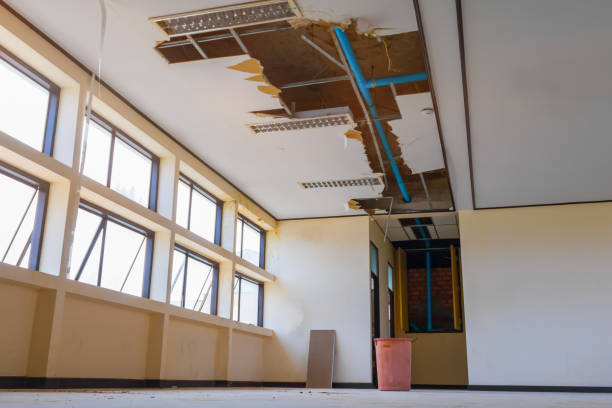 Best Commercial water damage restoration  in , KY