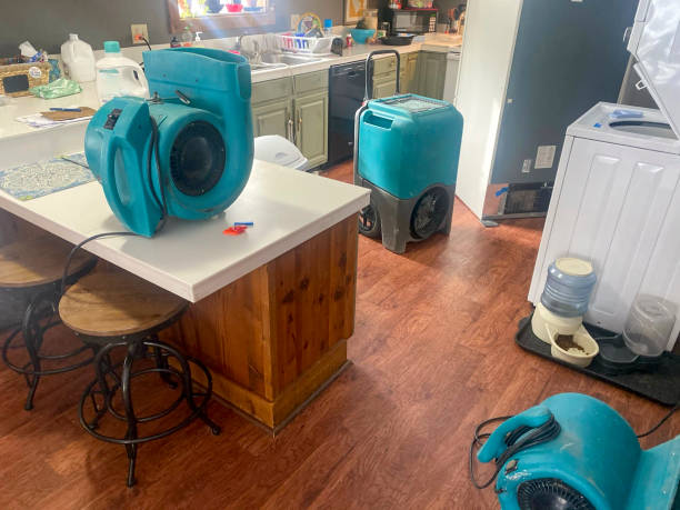 Best Water damage restoration services  in , KY