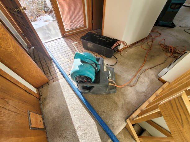 Best Ceiling water damage repair  in , KY