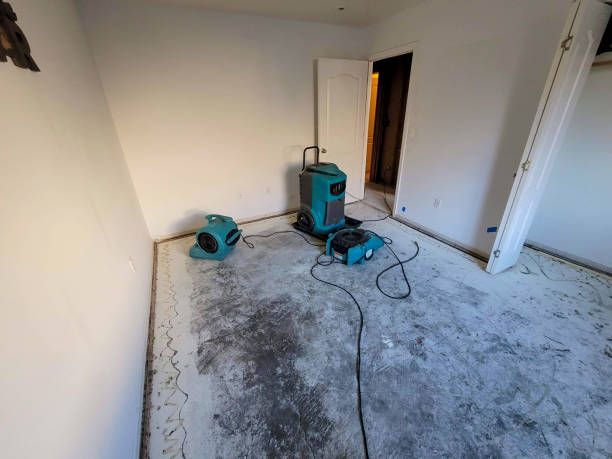 Best Water damage restoration near me  in , KY