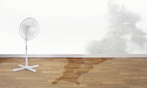 Best Emergency water damage restoration  in , KY