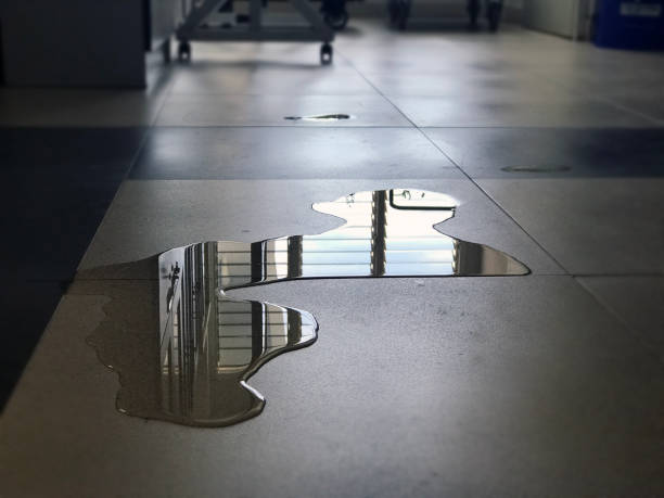 Best Water damage cleanup near me  in , KY