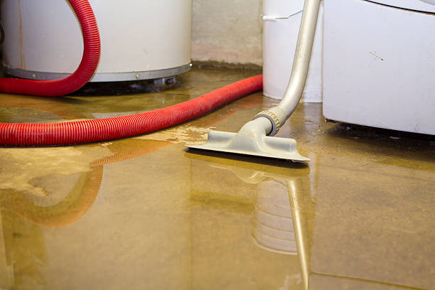 Best Flood damage cleanup  in , KY