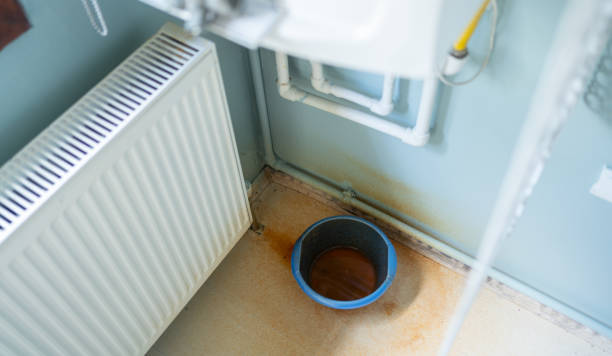 Best Flood restoration services  in , KY