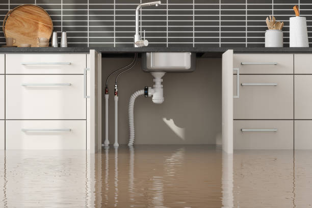 Best 24-hour water damage restoration  in , KY