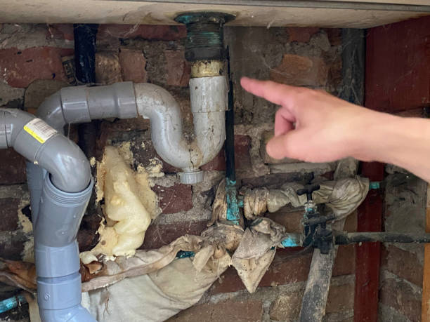 Best Water damage mitigation services  in , KY