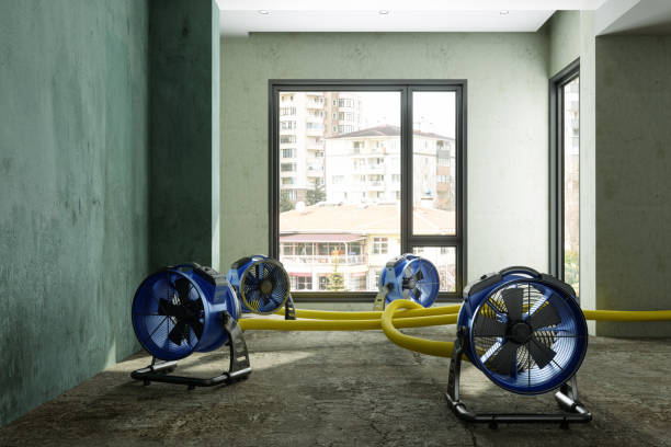 Best Sewage cleanup and water damage restoration  in , KY